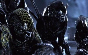 Xenomorph My Ideal Pet - XenoBob