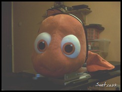 The Much Honoured Nemo of Great Barrier Reef